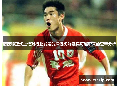 宿茂臻正式上任对行业发展的深远影响及其可能带来的变革分析