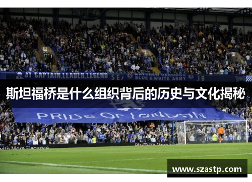 斯坦福桥是什么组织背后的历史与文化揭秘