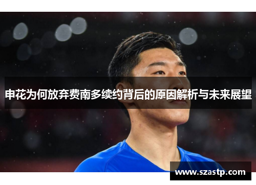 申花为何放弃费南多续约背后的原因解析与未来展望